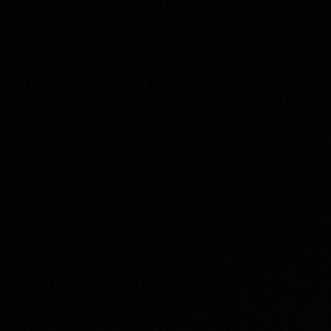 Meet your Posher, Hallie